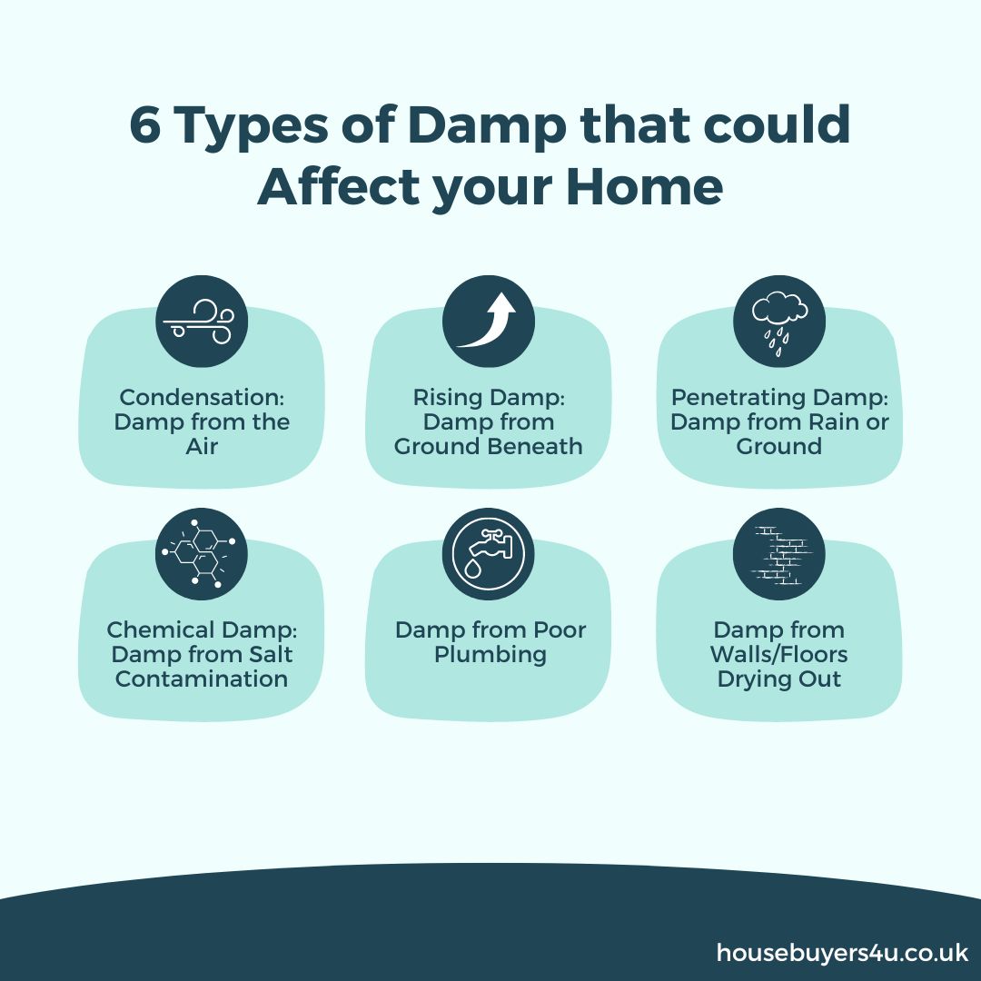 6 types of damp that could affect your home